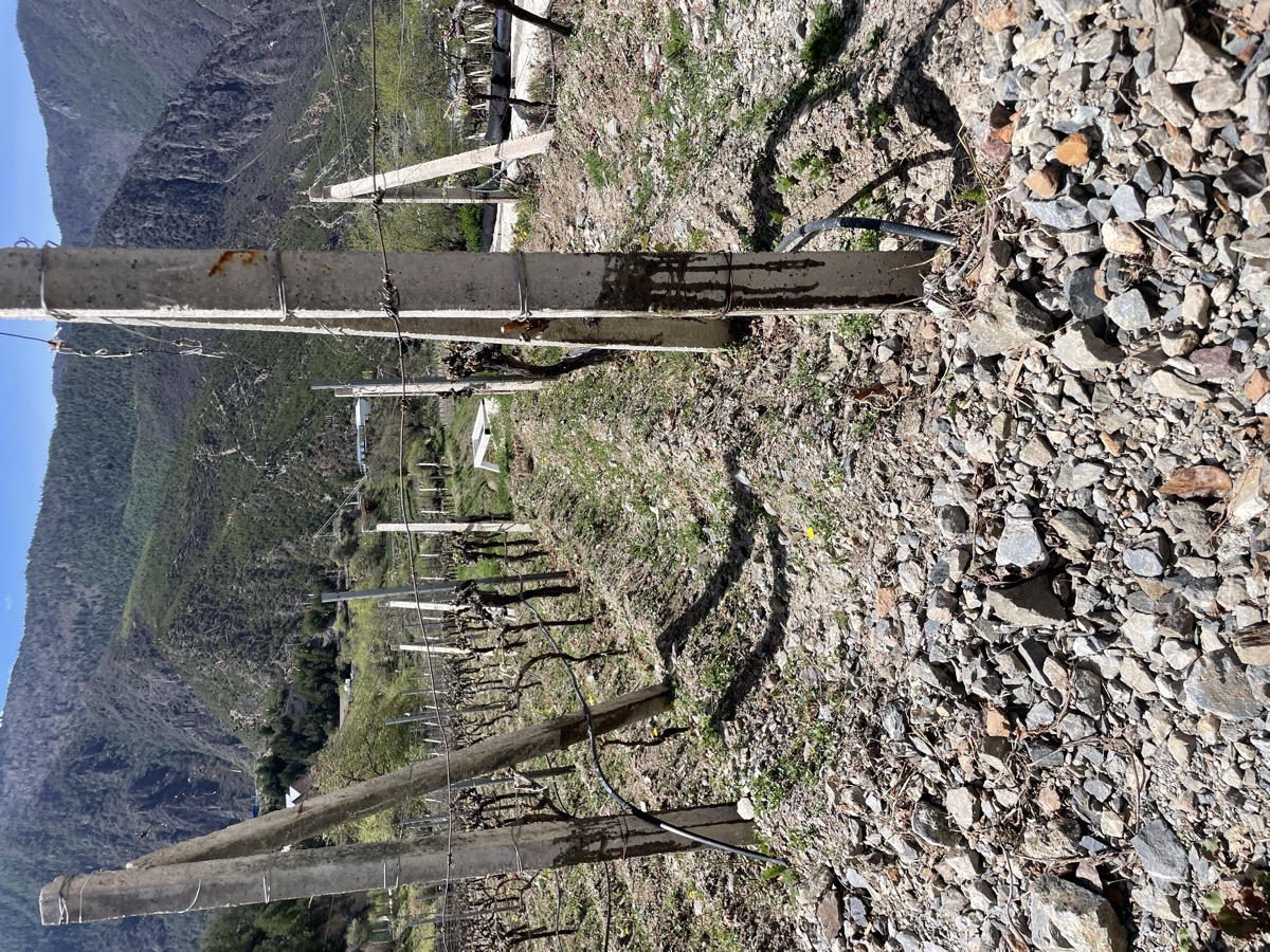 GutCommon artisan products from Yunnan's ethnic minority communities