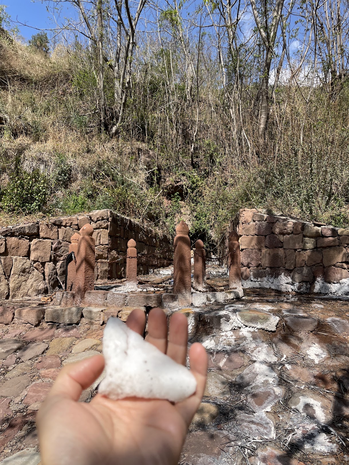 山谷的鹽，決定火腿的命運